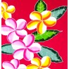 Paréo rouge fleurs de frangipanier rose jaune